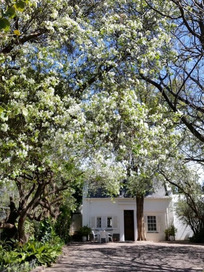 Little Green World Beaufort West Exteriör bild