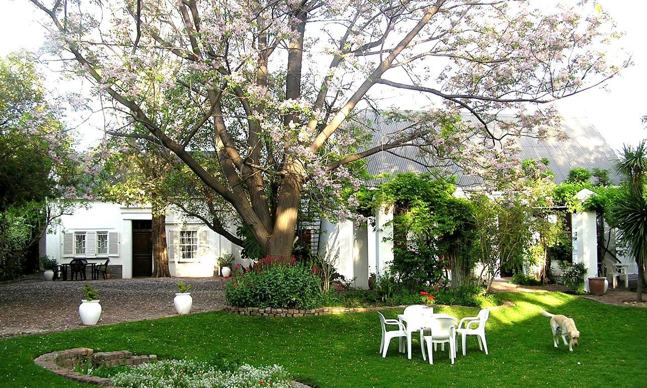 Little Green World Beaufort West Exteriör bild